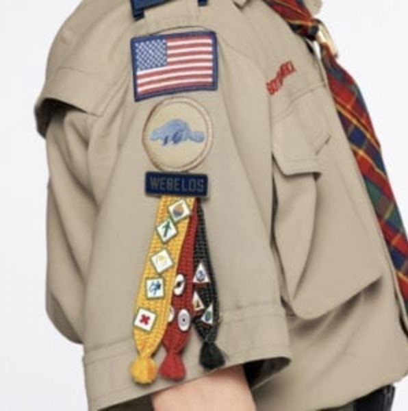 Cub Scout Badges of Rank